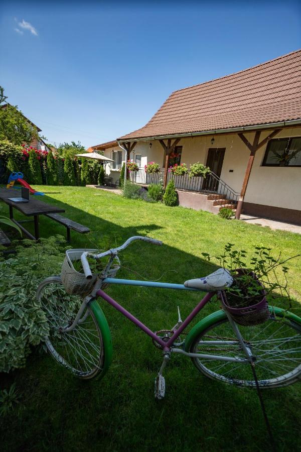 Siebenbuerger Haus Villa Сибиу Екстериор снимка